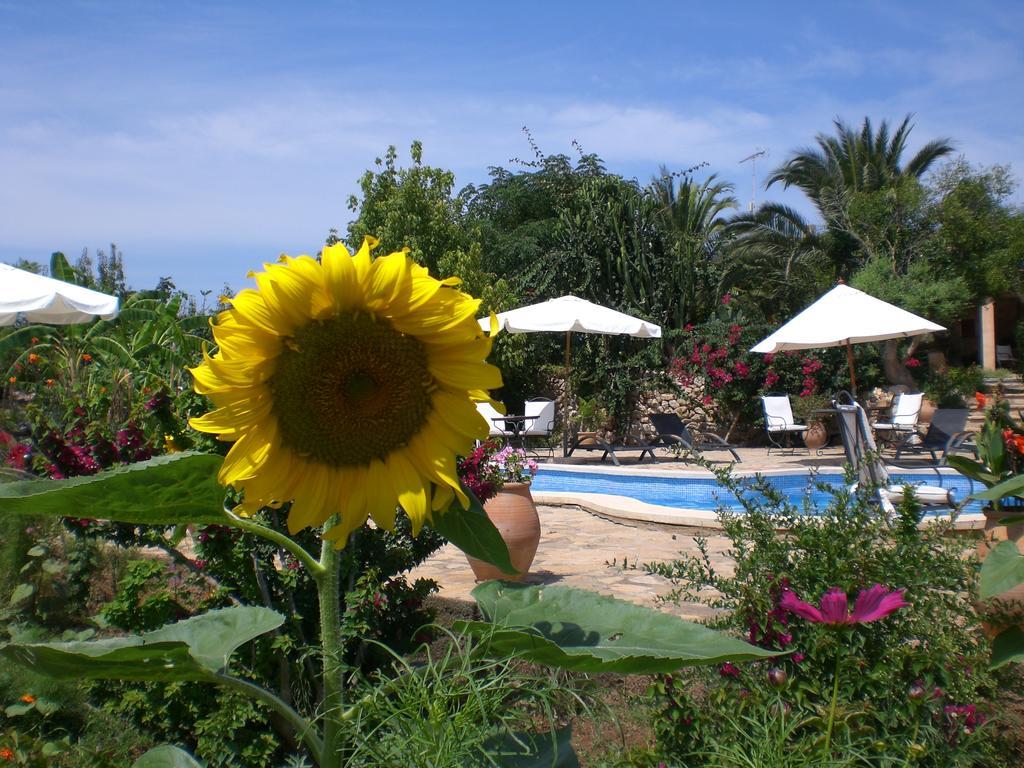 Agroturismo Na Set Centes - Adults Only Artá Exteriér fotografie